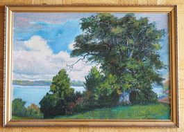 Ölbild: Alter Baum am See