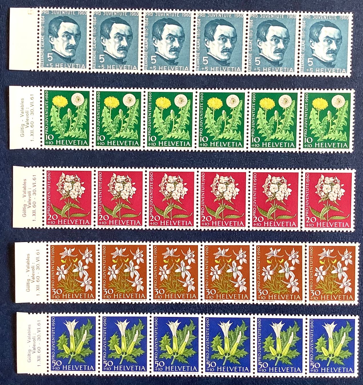 Tutti i francobolli: 1960 Pro Juventute - Gartenblumen 6er  Block ** – Nuovo (secondo la descrizione) da Liestal venduto da Skunk02