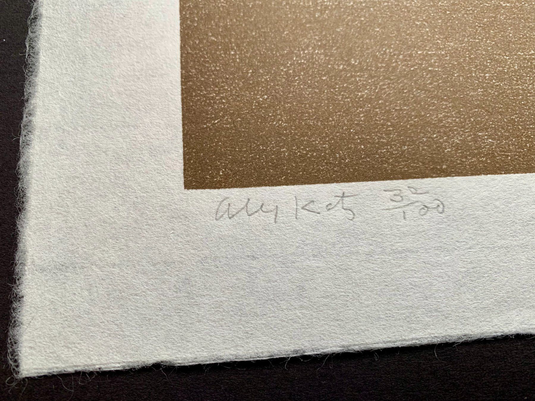 Gravures sur bois: Alex Katz, Holzschnitt – D'occasion à Regensdorf par JoergR 3