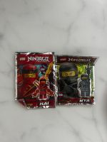 LEGO Ninjago Figuren: Nya und Kai
