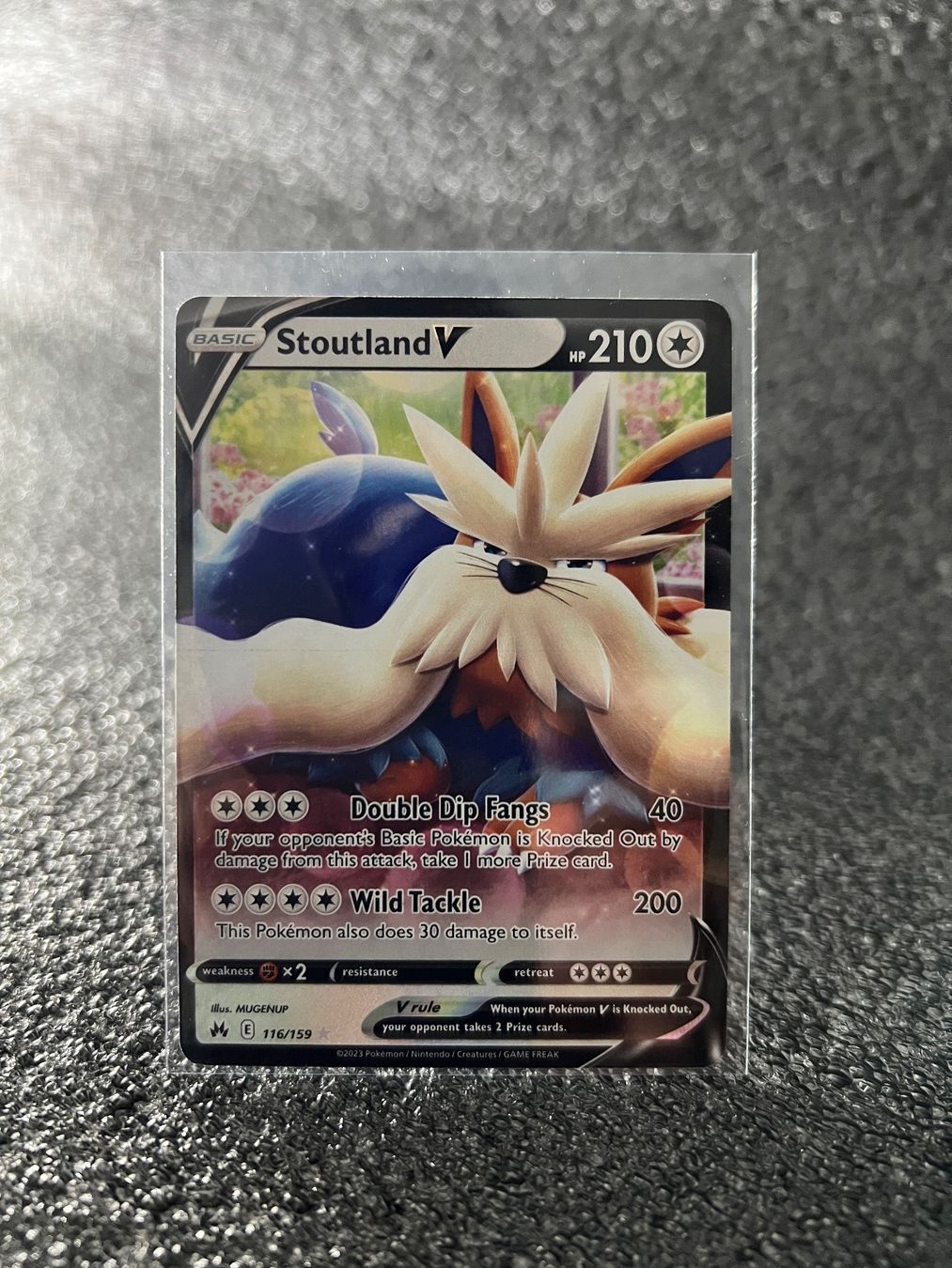 Pokémon Carte collezionabili: Pokémon Crown Zenith - Stoutland V 116/159 – Nuovo (secondo la descrizione) da Birmensdorf ZH venduto da Swiss-_-Collector