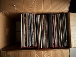 LP's / Langspielplatten / Schalplatten ca. 100 Stk.