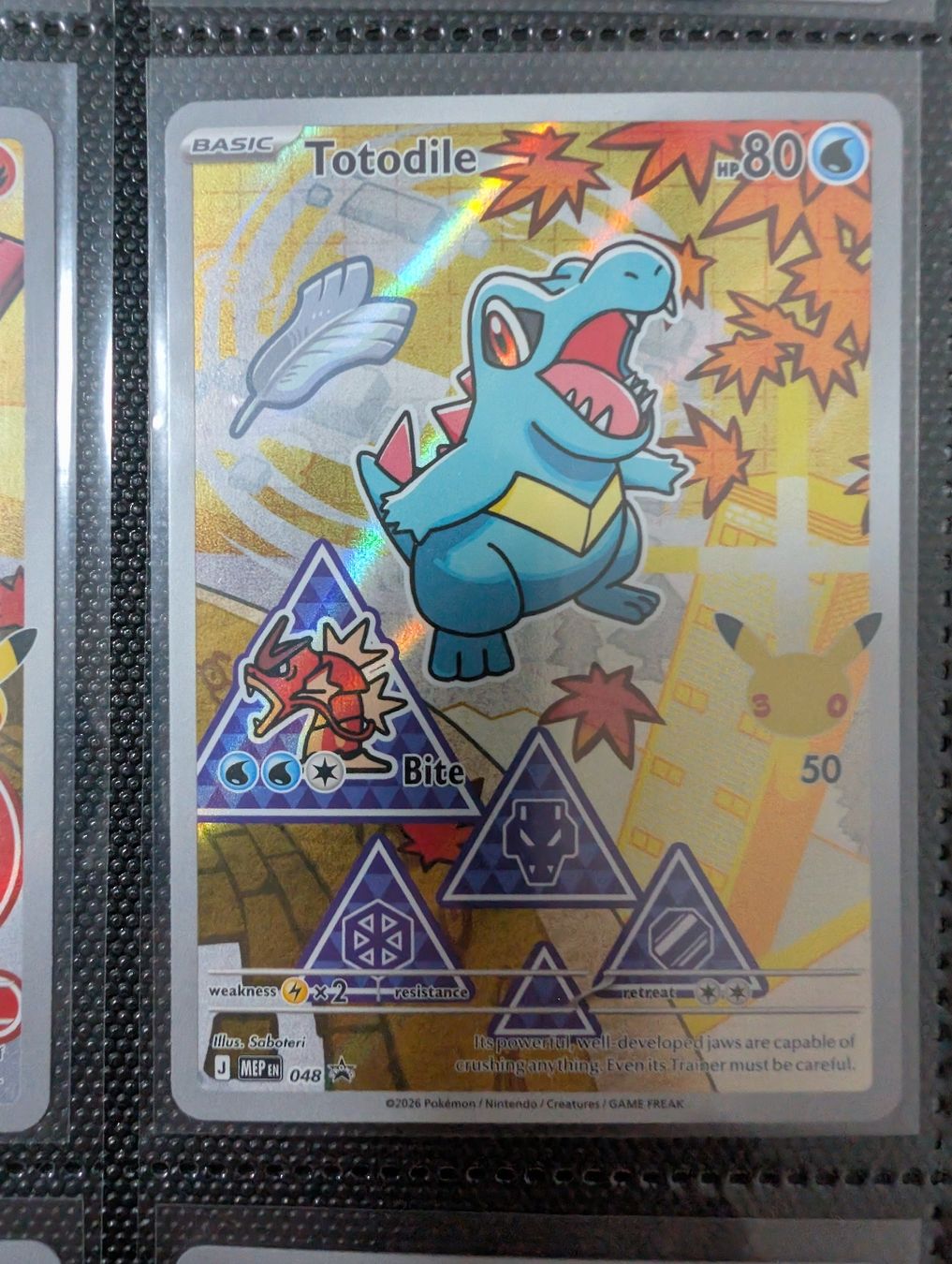 Pokémon Carte collezionabili: Pokemon Johto Starter - First Partner Series 2 - Englisch – Nuovo (secondo la descrizione) da Basel venduto da Master-Ball 2