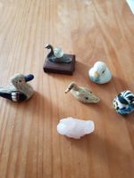 petits canards