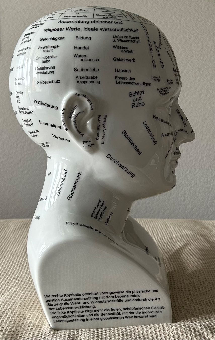 Sculture & Statue: Exklusiver Studienkopf der Psycho-Physiognomik nach C.Hutter – Nuovo e nell'imballaggio originale da Urtenen-Schönbühl venduto da framu07 3
