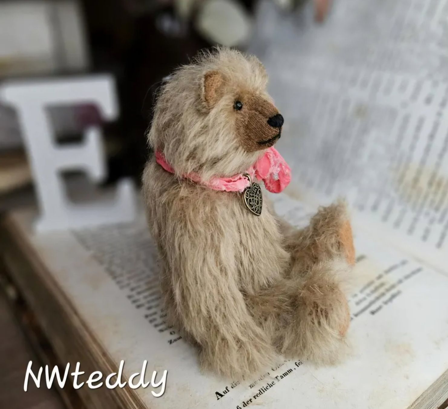 Giocattoli: Teddy Bär – Nuovo (secondo la descrizione) da Chur venduto da nataliiaw 2