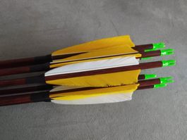 Carbon Komplettpfeil 31 Zoll 700 Spine Preis pro 9 Stück