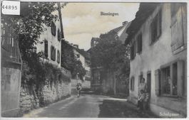 Binningen - Schulgasse - animee belebt