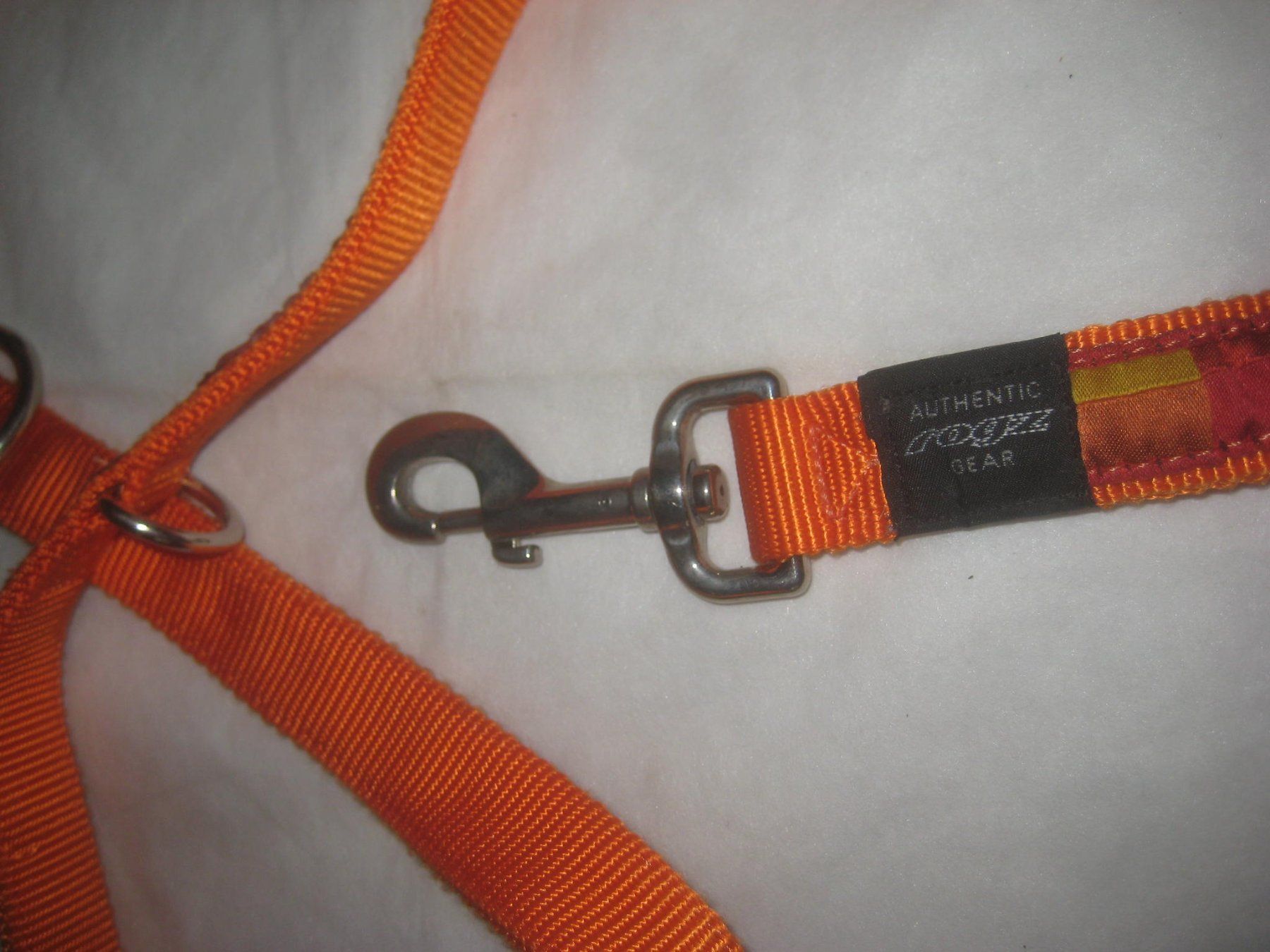 Rogz Leine & Halsband: HUNDE LEINE ROGZ – Neu (gemäss Beschreibung) aus Uster von flocke1 3