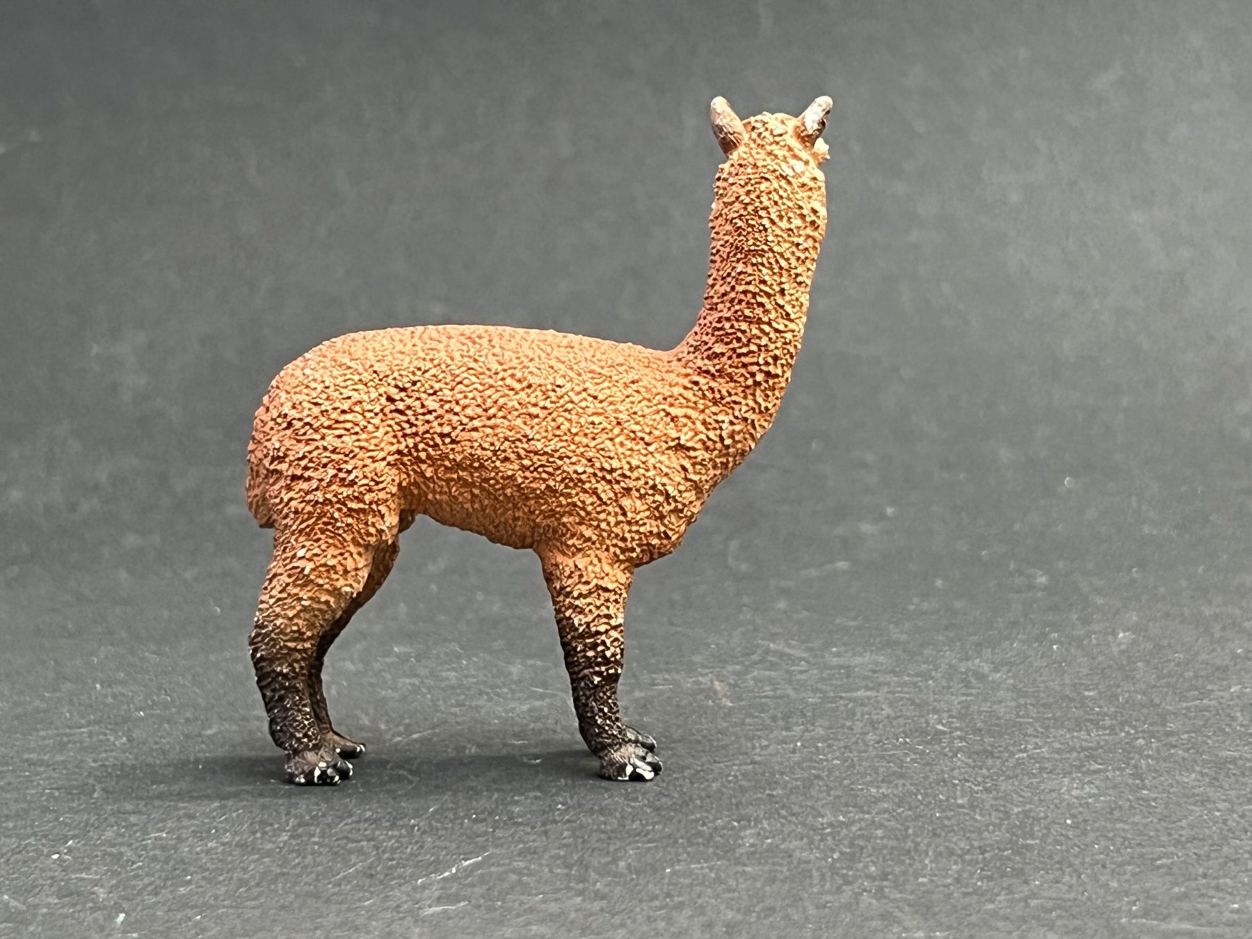 Schleich Statuette: Schleich 13703 Alpaka Hengst – Usato da Ennetbaden venduto da mapa05 6