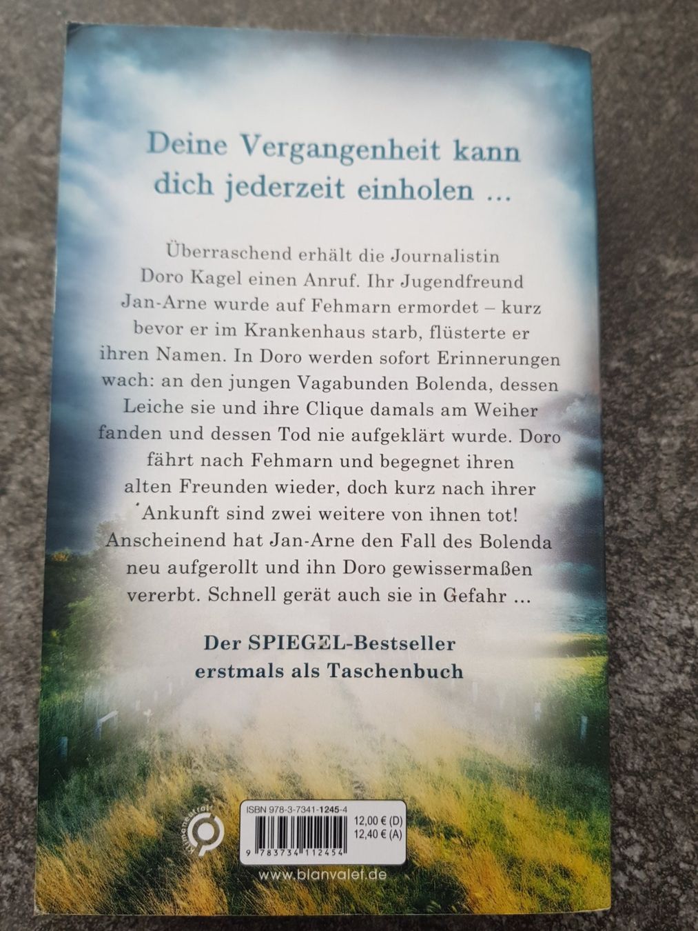 Libri: Die Toten von Fehmarn /  Eric Berg Kriminalroman – Usato da Dietikon venduto da marconi07 1