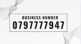 PrePaid Premium Handynummer (Platin)
