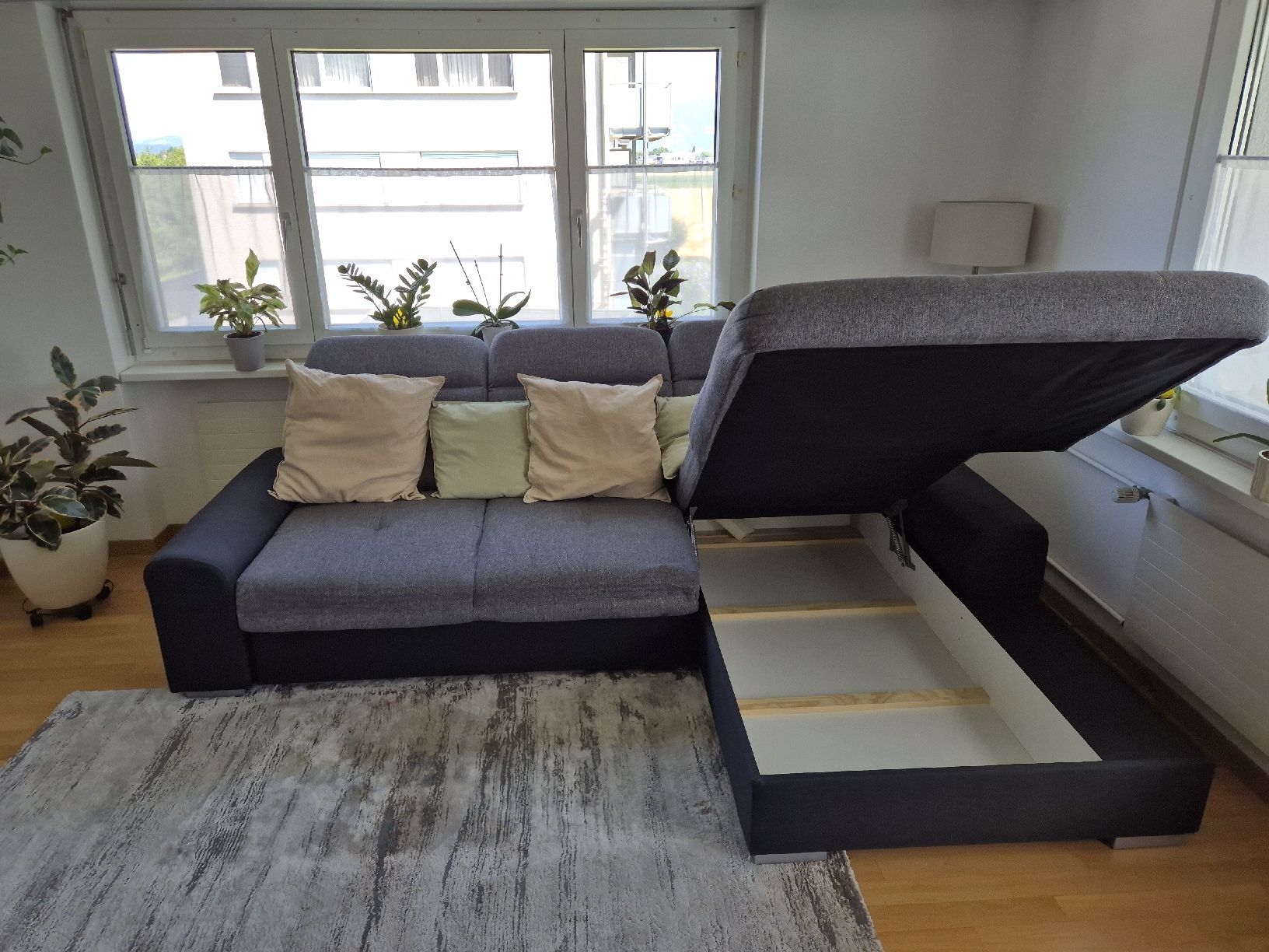 Divani: Couch mit Bettfunktion und Stauraum  – Usato da Berneck venduto da Chris_H90 2