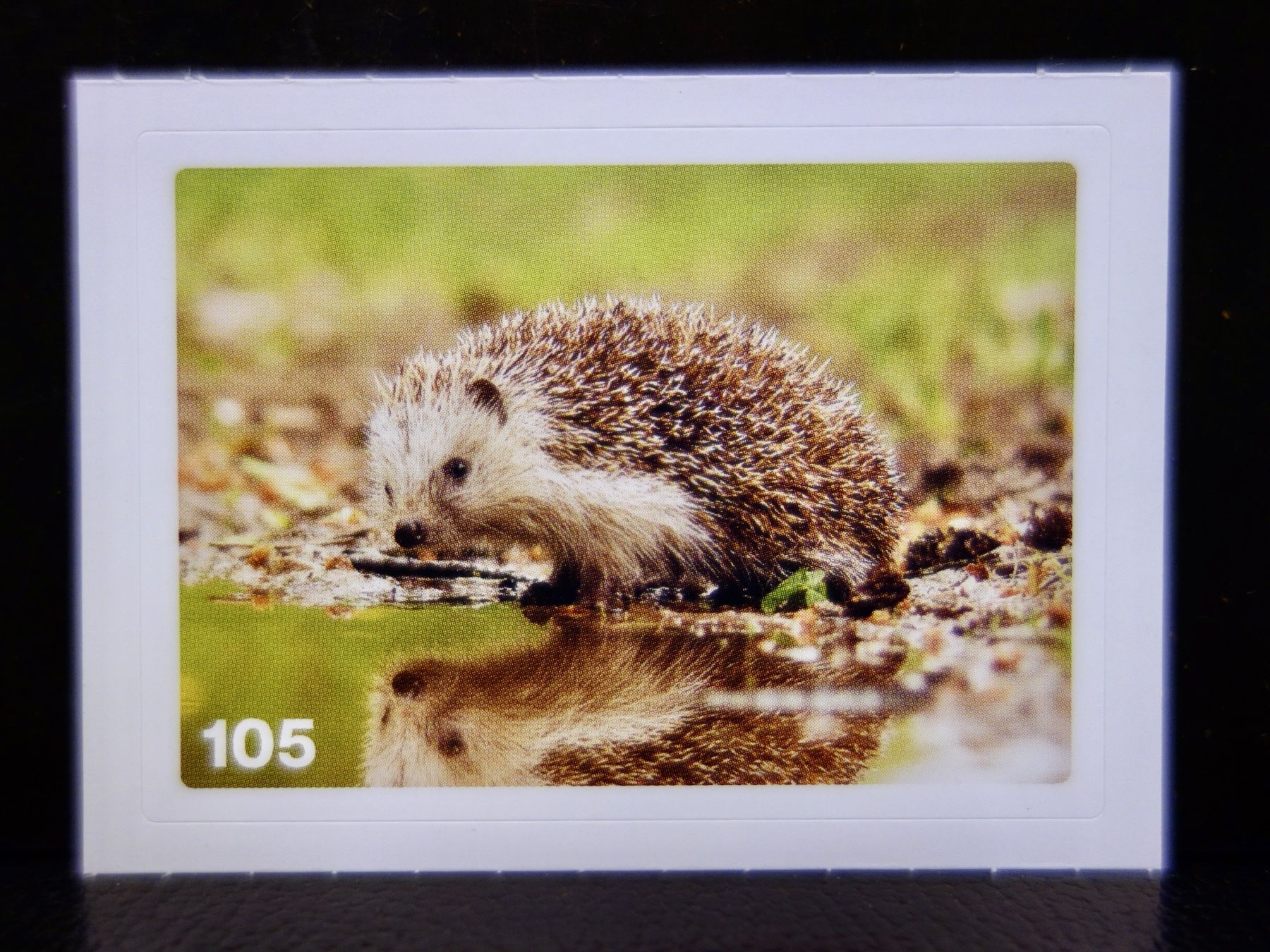 Migros Carte collezionabili: MIGROS MANIA Nature Detectives Nr. 105 – Usato da Kerzers venduto da djstarsky73
