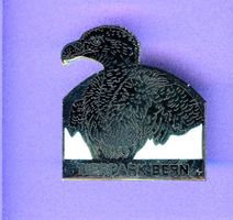 TIERPARK BERN  Geier