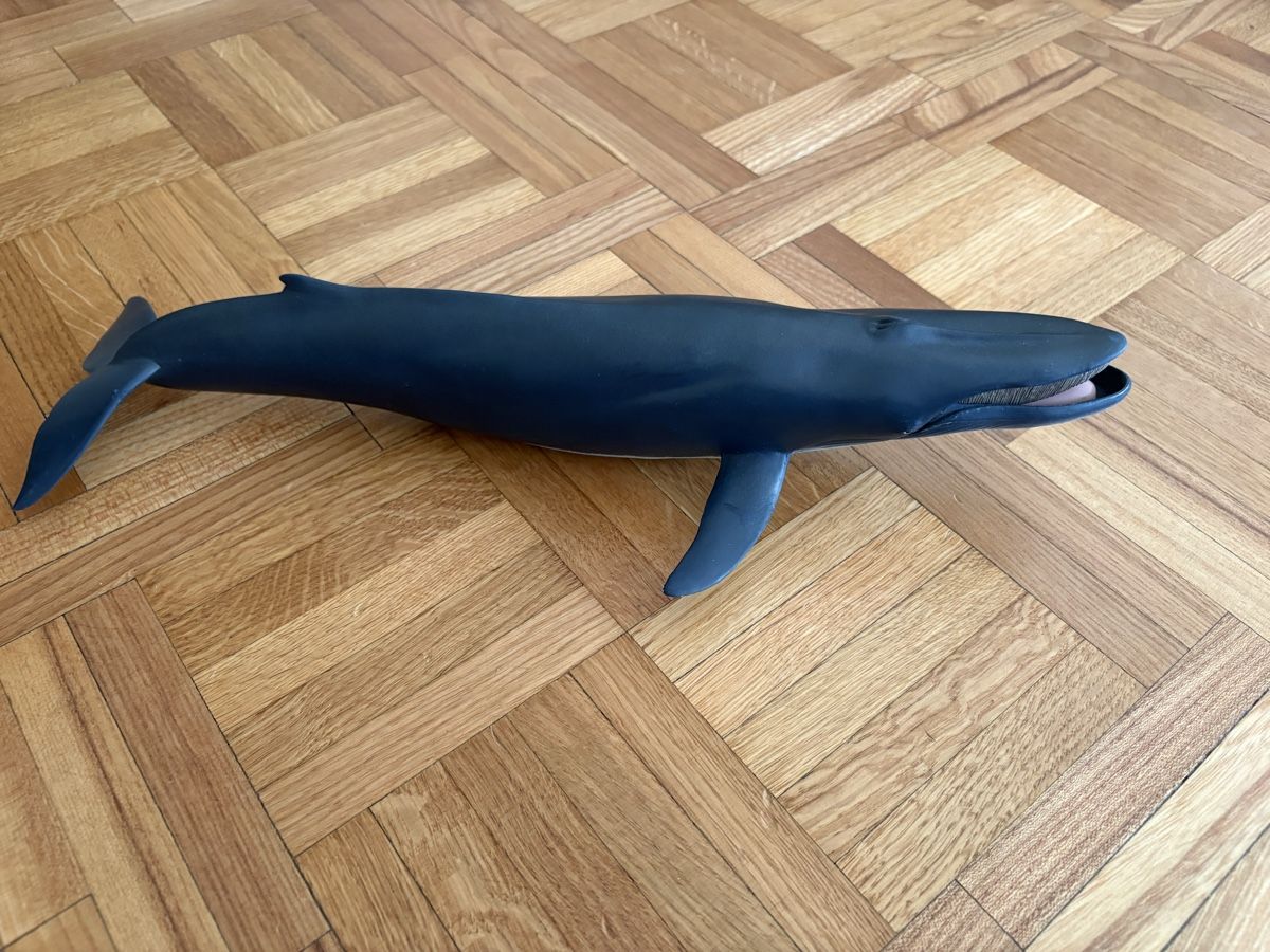 Schleich Jouets: Jouet bain Baleine – D'occasion à Genève par cec_6qrf 3