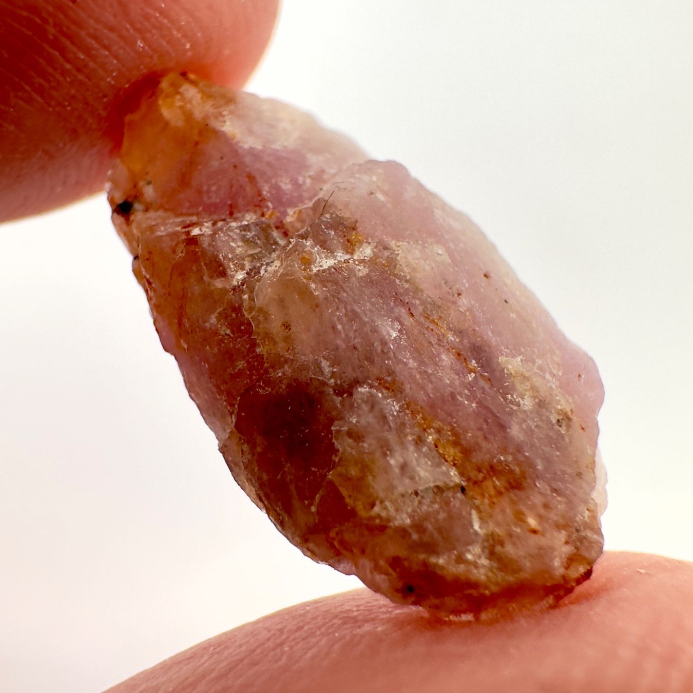 Minerali & Pietre curative: Natural Hackmanite - 8.33 ct - Afghanistan – Nuovo (secondo la descrizione) da Zürich venduto da Yoohooz 2