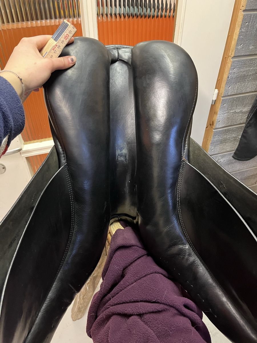 Selle & Accessori: Stübben Sattel Scandica 31 – Usato da Lauperswil venduto da alila04 9