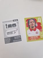 Panini Sticker TUN14