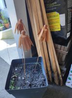 3 fleurs pour jardin en métal, rost