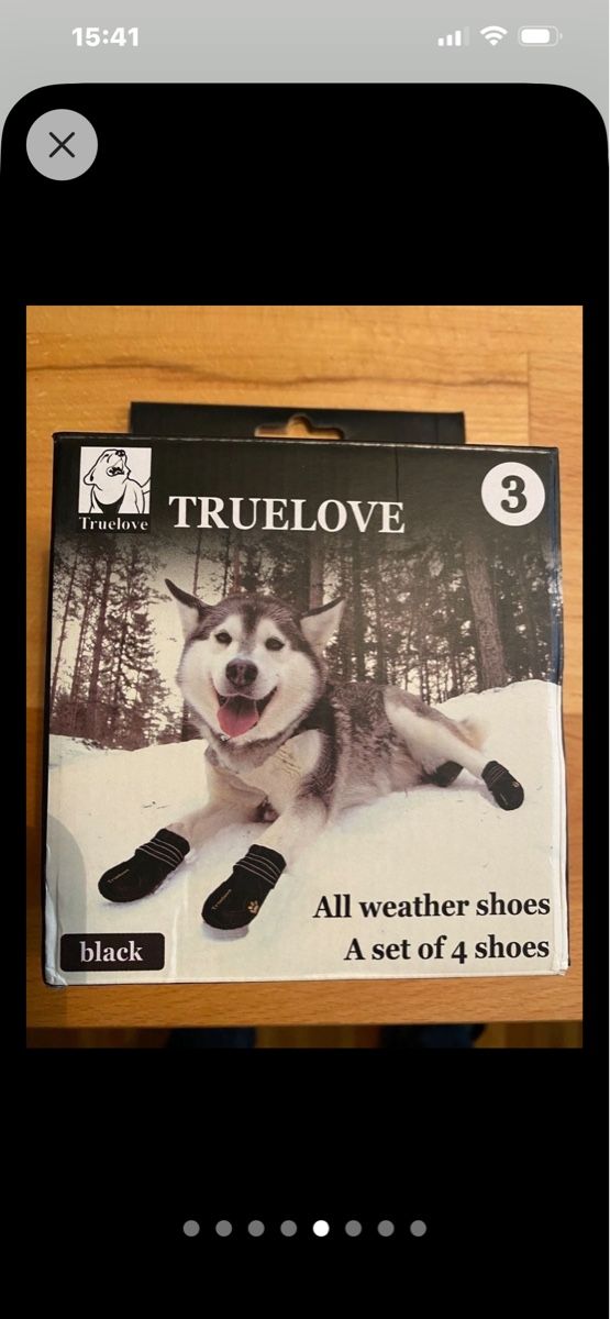 Bekleidung: 4 Hundeschuhe neu – Neu (gemäss Beschreibung) aus Döttingen von Steinklopferin 3