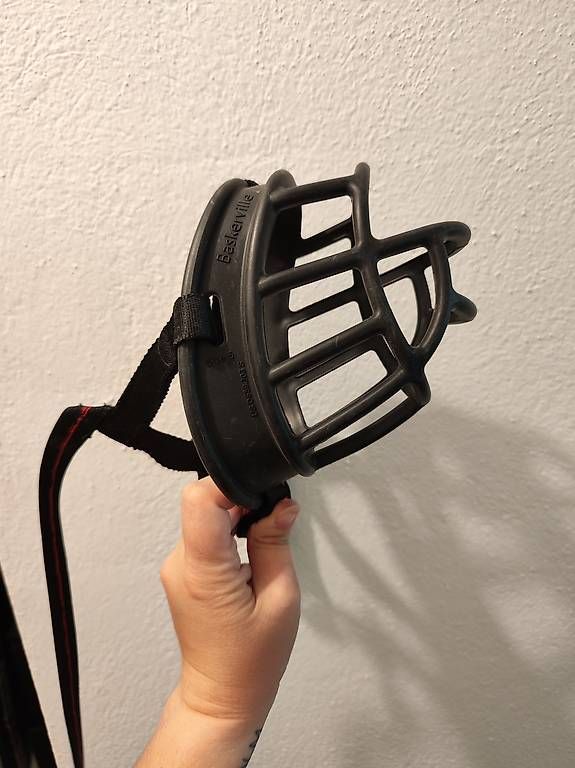 Altro per la casa: Basketville Maulkorb Size 6 – Usato da Niederhasli venduto da anny_94 2
