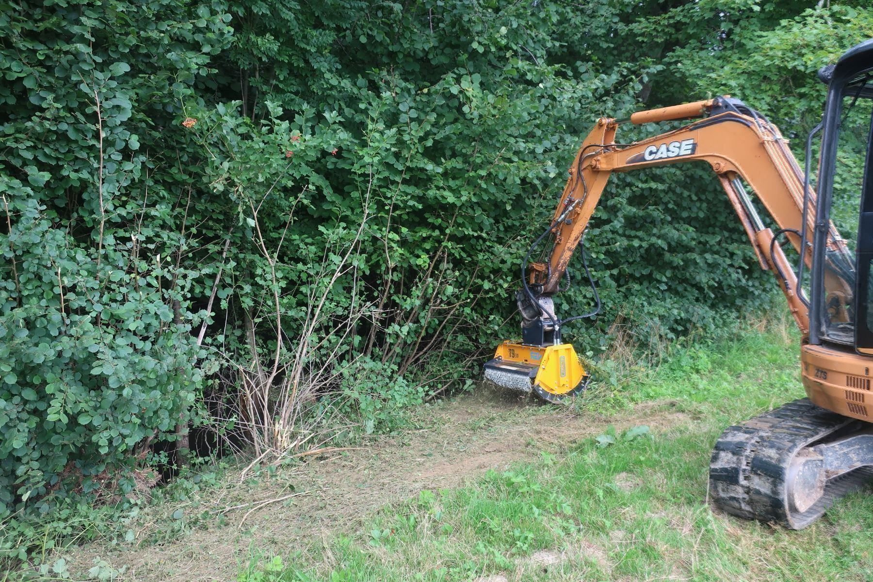 Bagger: Mulcher 90 cm zu Bagger 3.5 - 12 T – Neu (gemäss Beschreibung) aus Kastanienbaum von acapulco 5