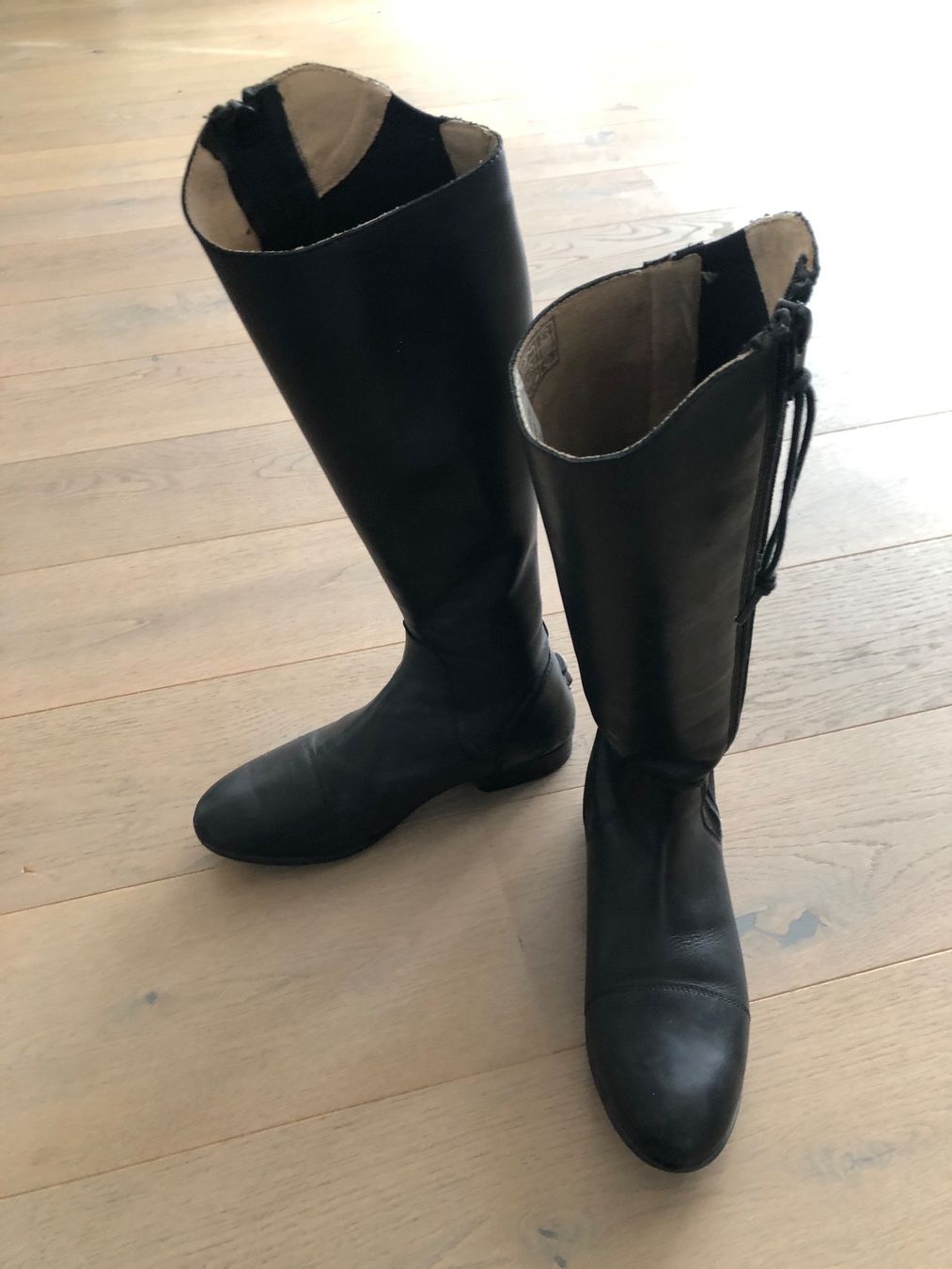 Scarpe da donna: Reitstiefel Grösse 39 von Norton – Usato da Utzenstorf venduto da chrigelti 1