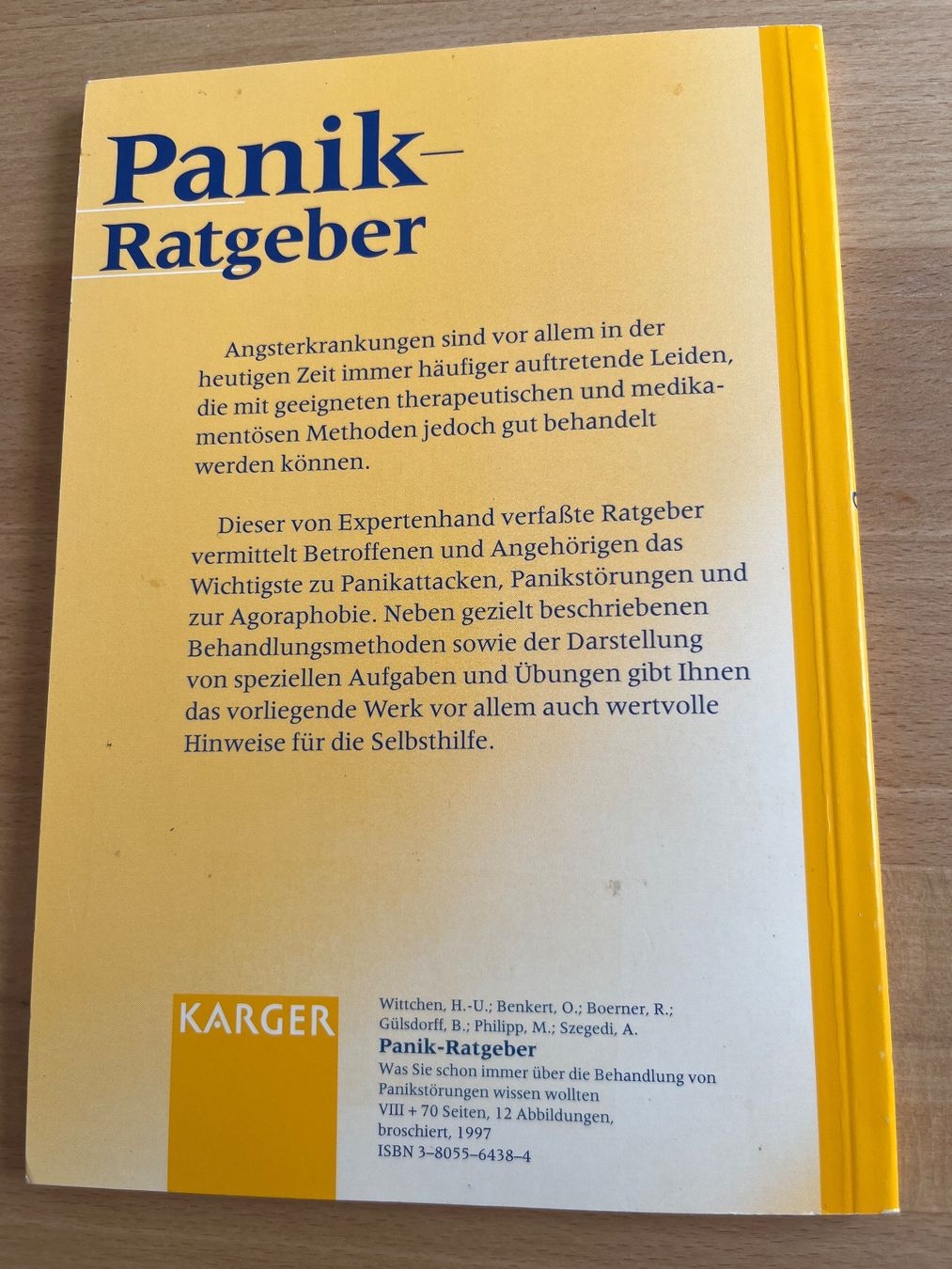 Livres: Panik- Ratgeber – D'occasion à Horgen par Flacito 1
