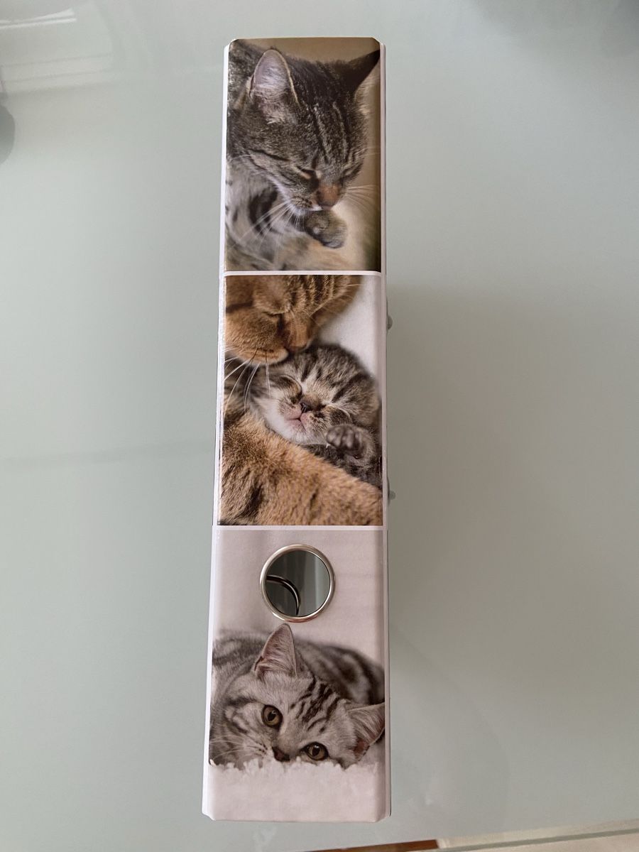 Raccoglitori: Süsser Katzen Ordner – Nuovo (secondo la descrizione) da Bülach venduto da kittygismo 1