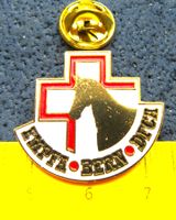 SCHWEIZER ARMEE MILITÄR PIN GEPRÄGT EMPFA BERN DFCA GOLDIG
