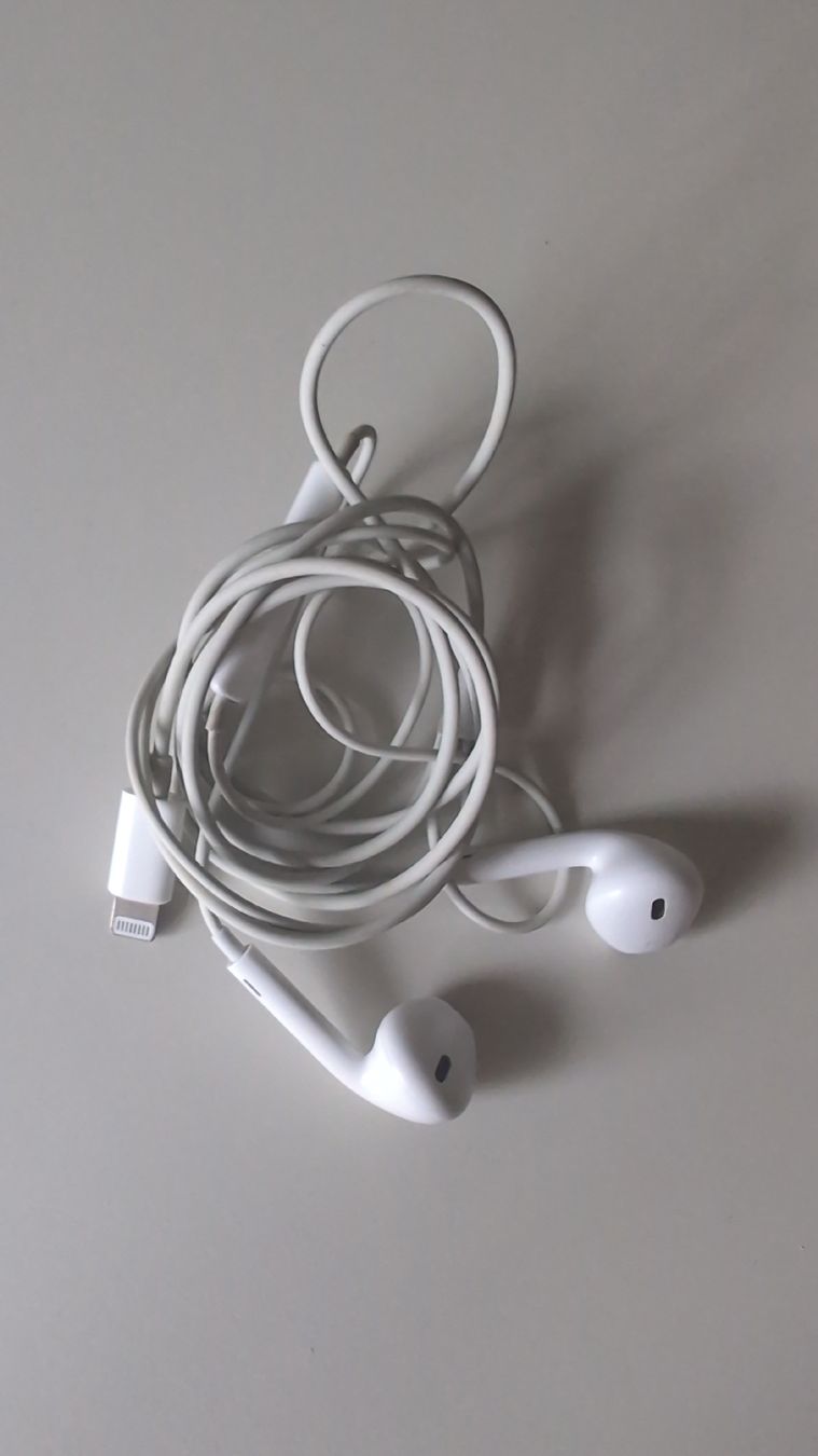 Apple Kopfhörer: EarPods mit Lightning Anschluss – Gebraucht aus Wallisellen von ali_x62p 1