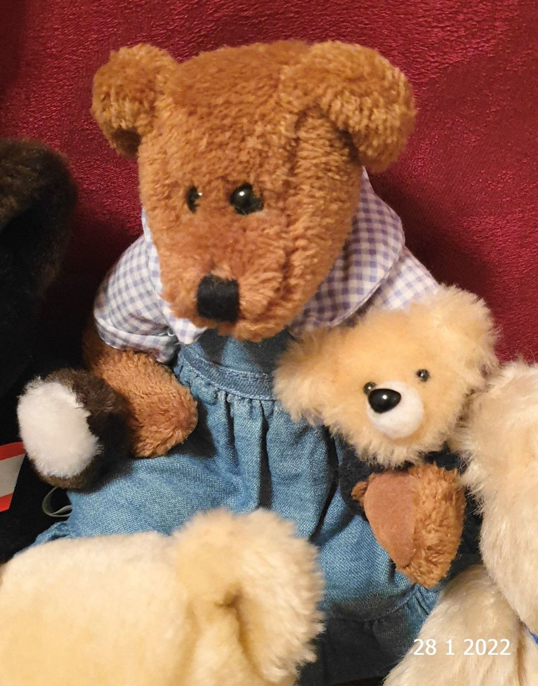Giocattoli: 5 Stofftiere Teddybären – Usato da Basel venduto da The_Onliners 3