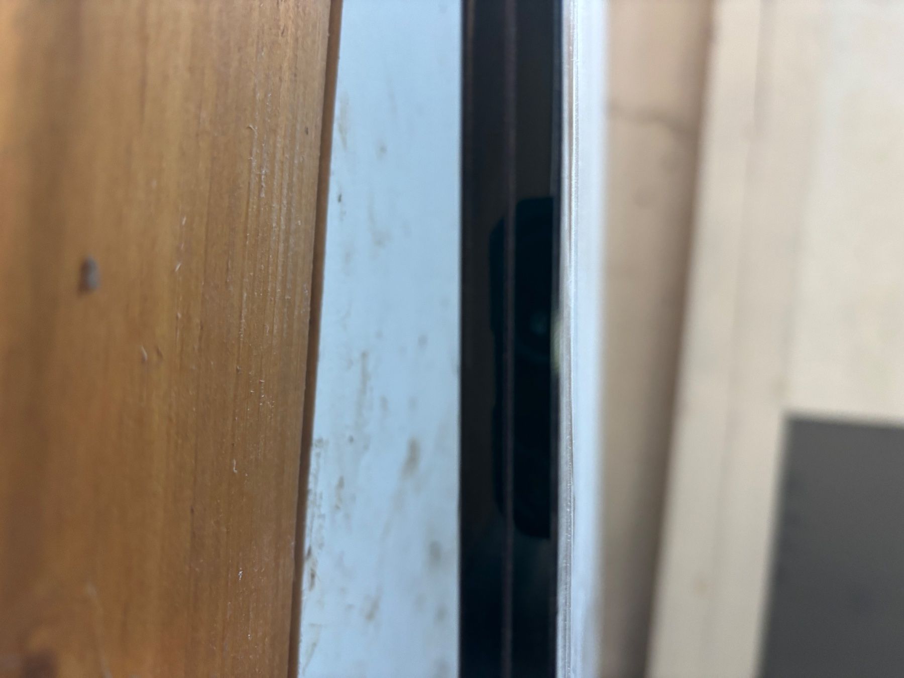 Bicchieri: Glas – Nuovo (secondo la descrizione) da Attiswil venduto da inf_zg89 1