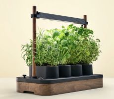 AUK Mini Indoor-Garten für Kräuter