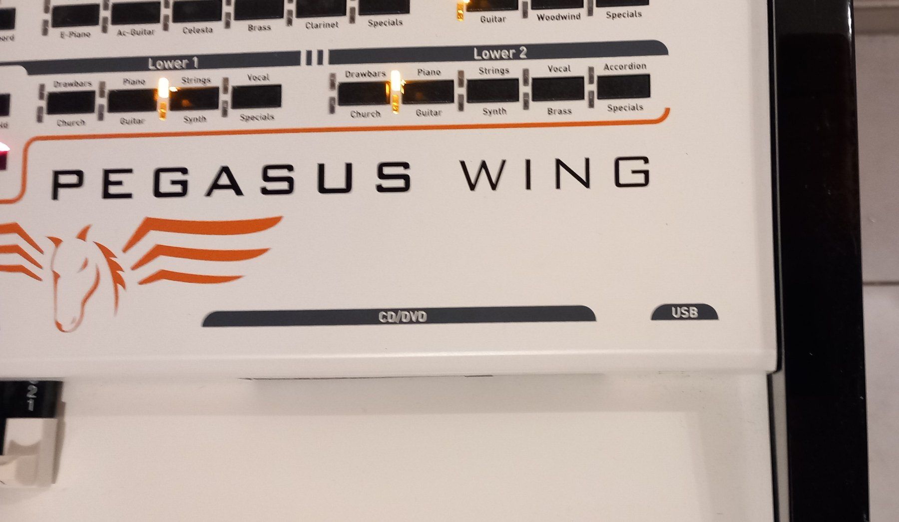 Strumenti musicali: Wersi Pegasus Wing Prof Workstation / Keyboard 76-Tasten – Usato da Schänis venduto da livo56 5