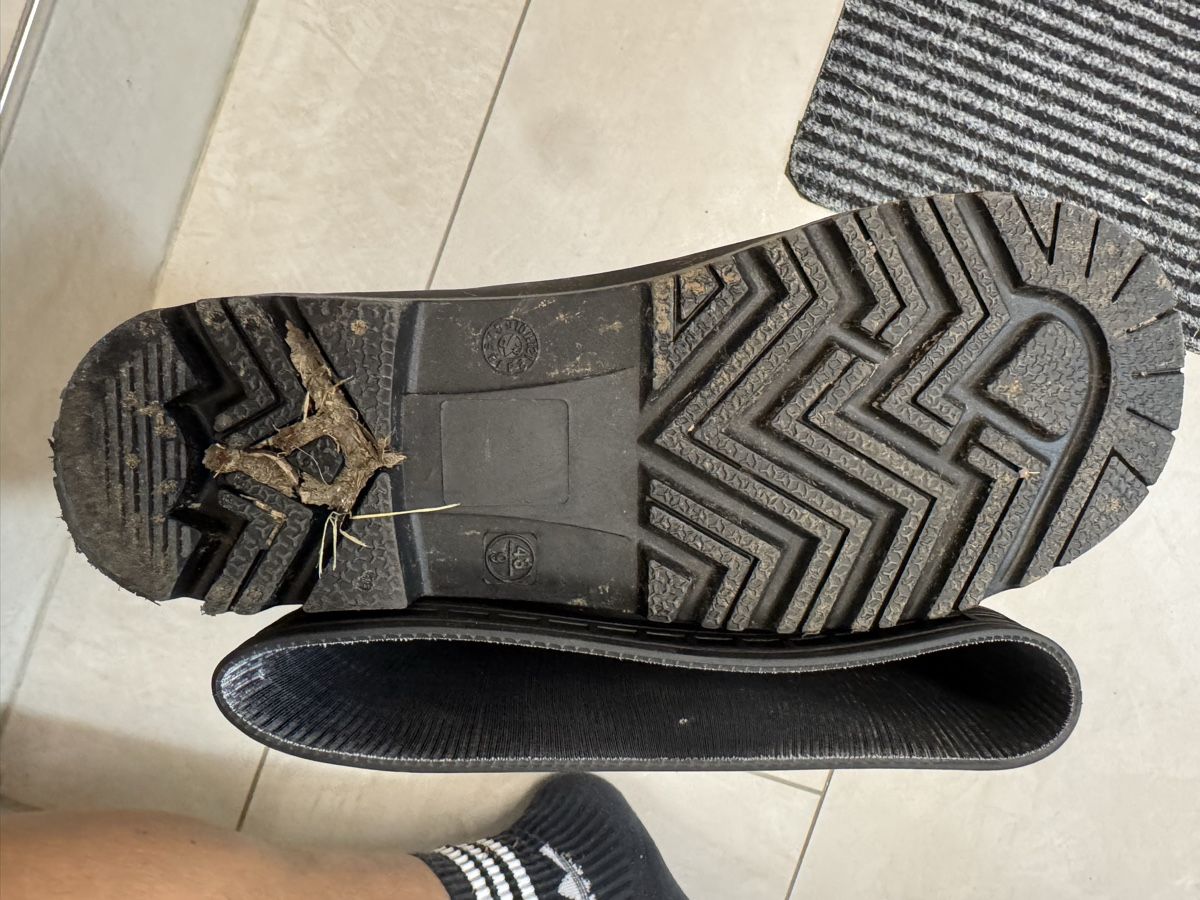 Scarpe da uomo: Gummi Stiefel Gr 43 – Usato da Oetwil am See venduto da cos_lzr8 2