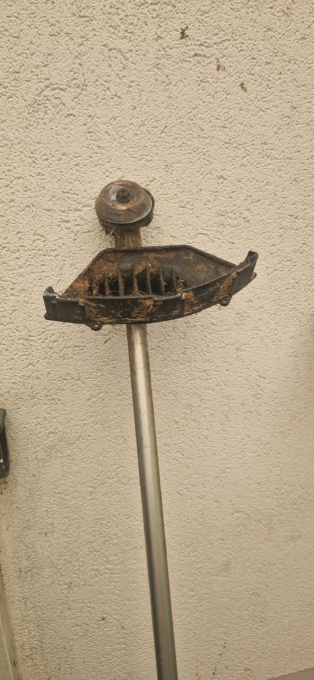 Dolmar Tagliaerba: Rasentrimmer DOLMAR MS-3200 Defekt  – Difettoso da Romanshorn venduto da fag_gnd6 1