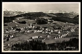 AK Heiden /Appenzell A. Rh., Gesamtansicht aus der Vogelscha
