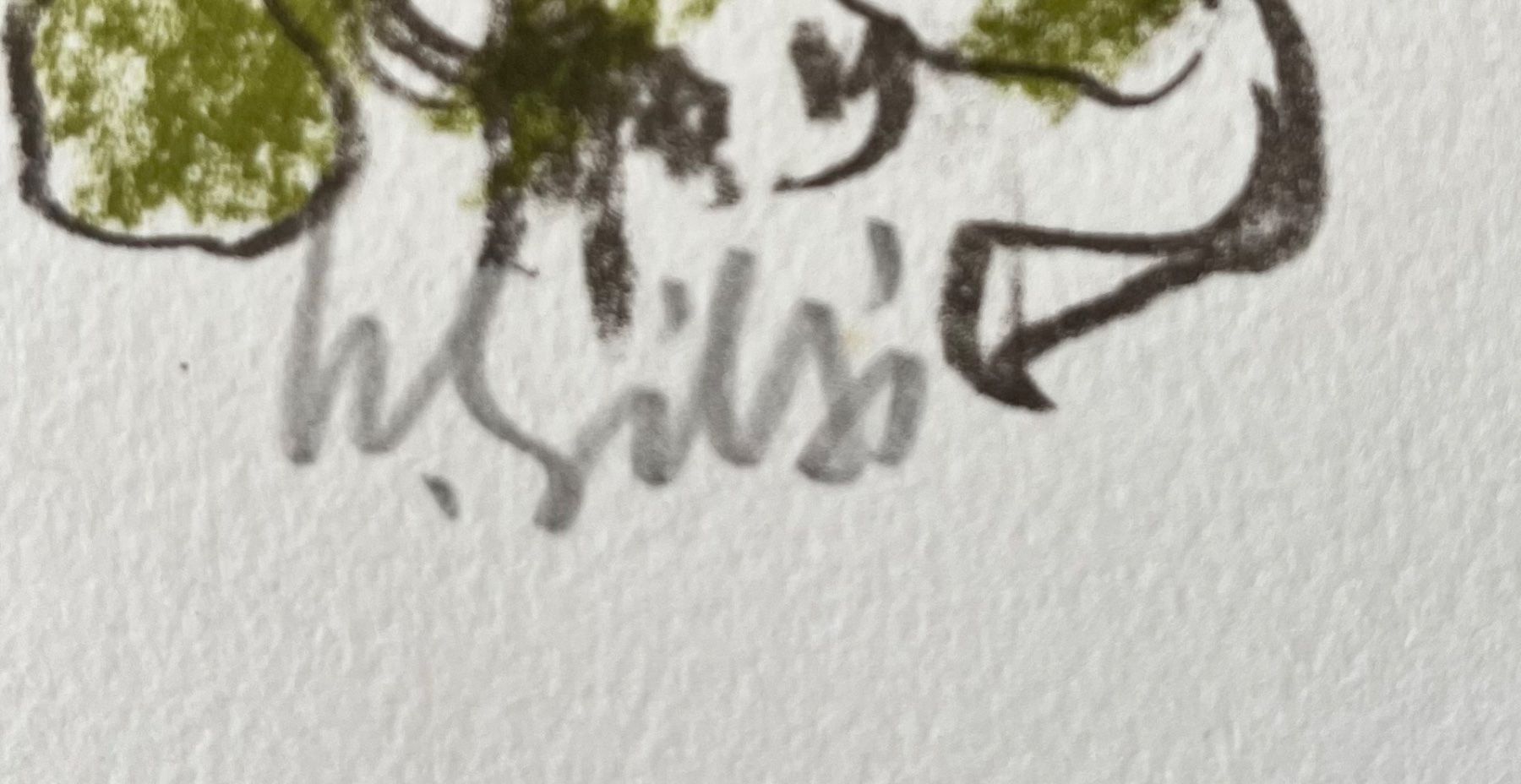 Grafica & Litografie: HUGO WÄLTI LITHOGRAPHIE SIGNIERT – Usato da Gersau venduto da grafik-kunst 1