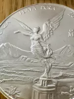1 oz Silber Libertad 2010 Mexiko | 999er | Stempelglanz