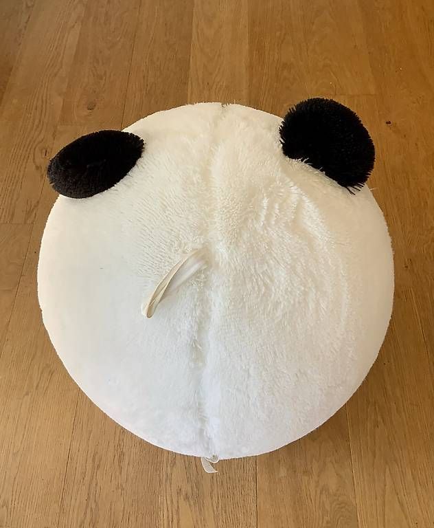 Palloni: Panda Yogaball  – Usato da Oberwil BL venduto da wanndann 2