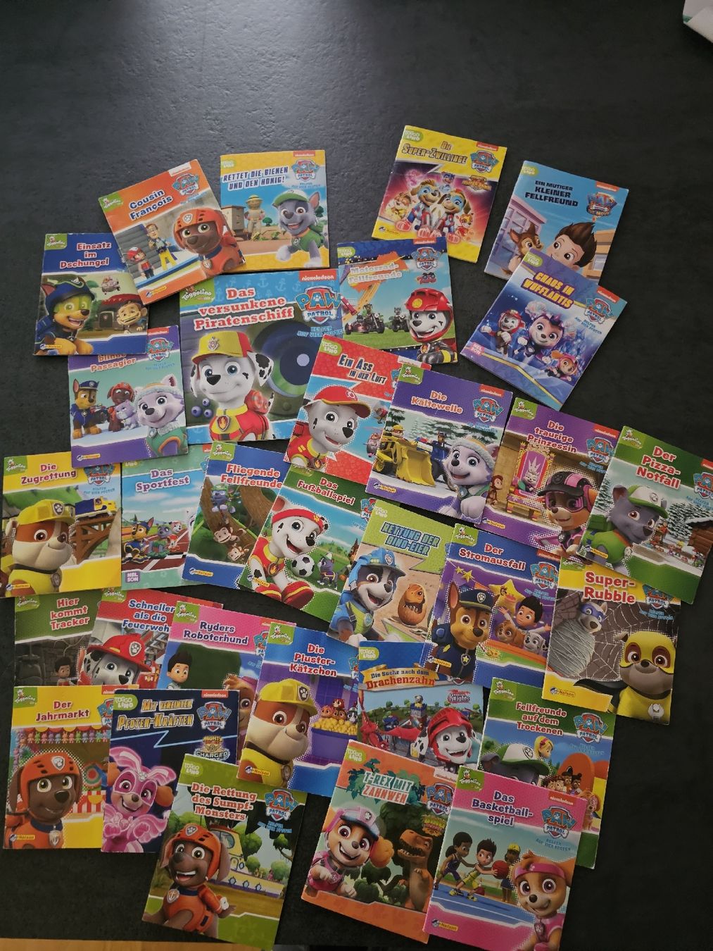 Libri: Paw Patrol mini Büchlein – Usato da Ebikon venduto da Mauzi86