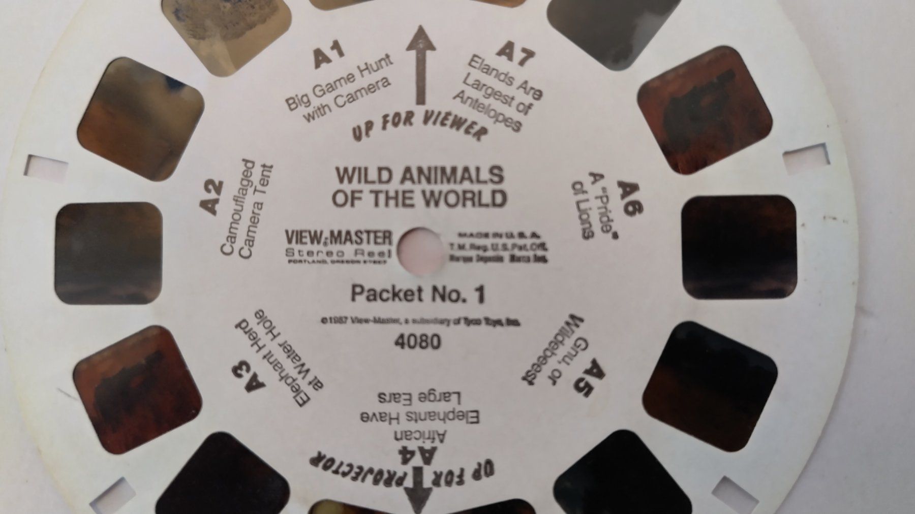 View-master Giocattoli: View-Master / 3 Bildscheiben / Wild Animals / ab Fr. 1.- – Usato da Bellach venduto da JingleJerry 1