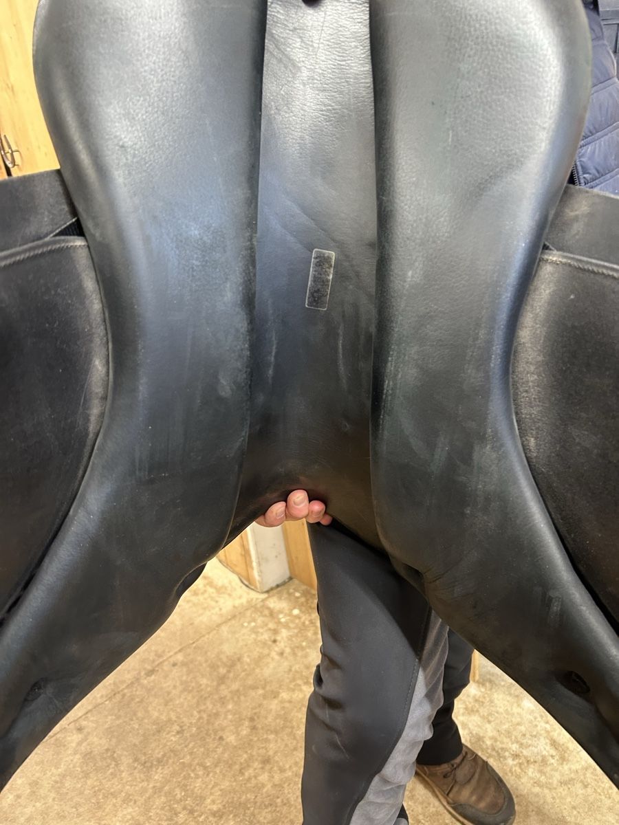 Selle & Accessori: Balance Matrix Saddle / Sattel – Usato da Eich venduto da Ju-ha-ju 3