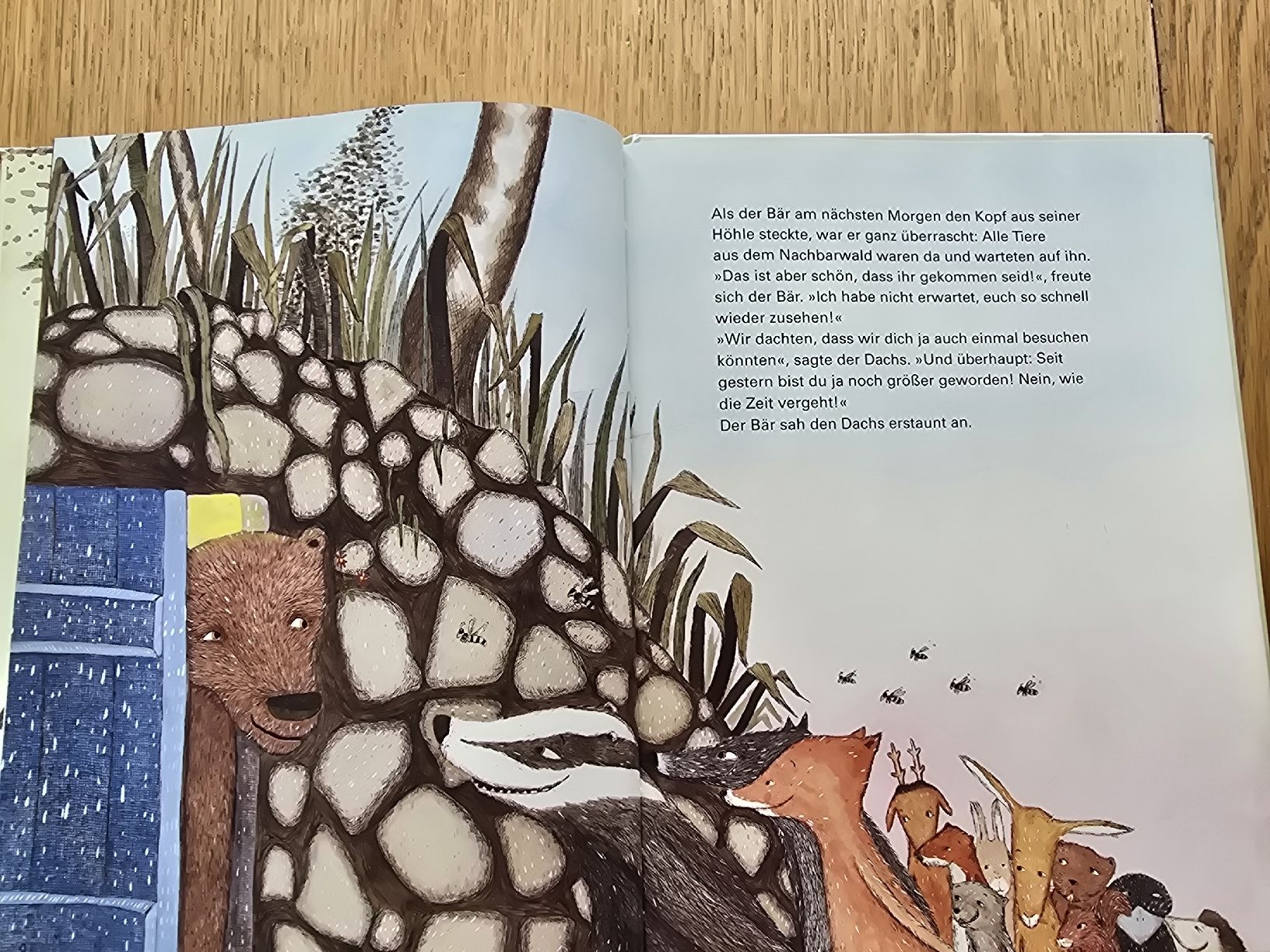 Bücher: Bilderbuch  Immer dieser Bär. Mit CD – Gebraucht aus Hedingen von mickway 4