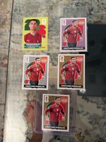 Voller Satz Paninni Bilder Ronaldo