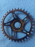 RaceFace Kettenblatt Bosch Gen4, 12-fach, 34T, 55mm