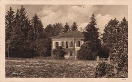 Originale, alte Ansichtskarte, Haus in Sursee, gel. 1919