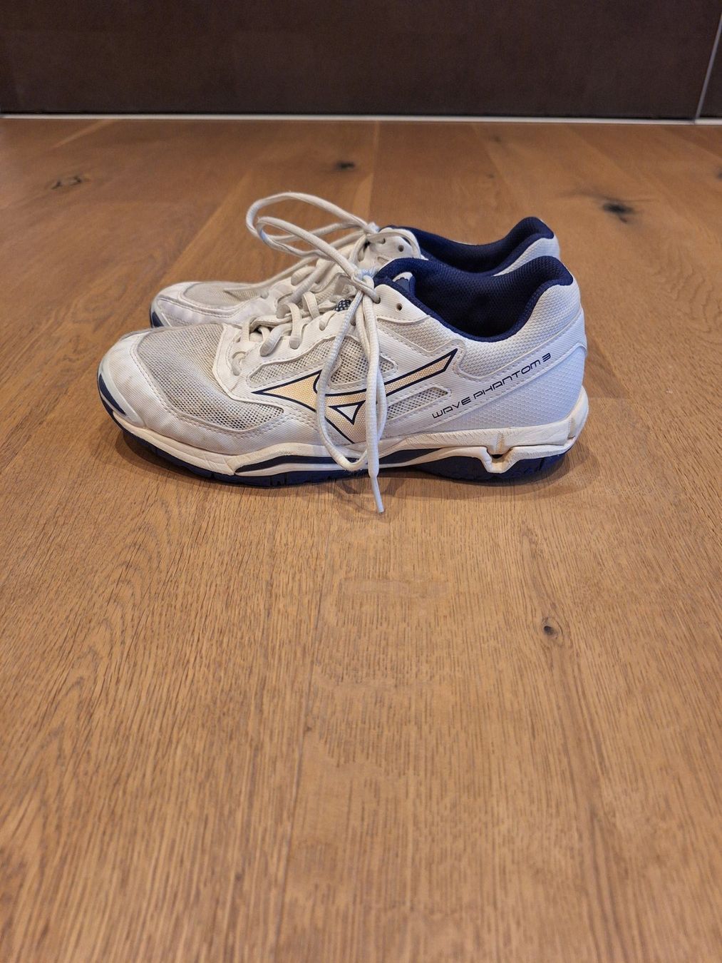 Mizuno Chaussures hommes: Mizuno Hallenschuh Wave Phantom 3 – D'occasion à Illnau par FamSig 2